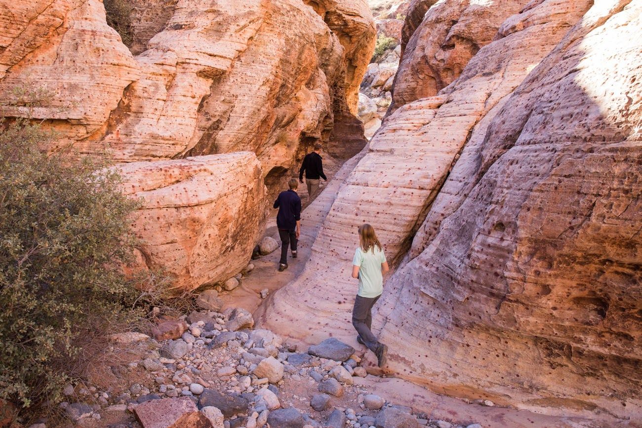 Your experience at Red Rock Canyon Tour From Las Vegas Tours & Tickets