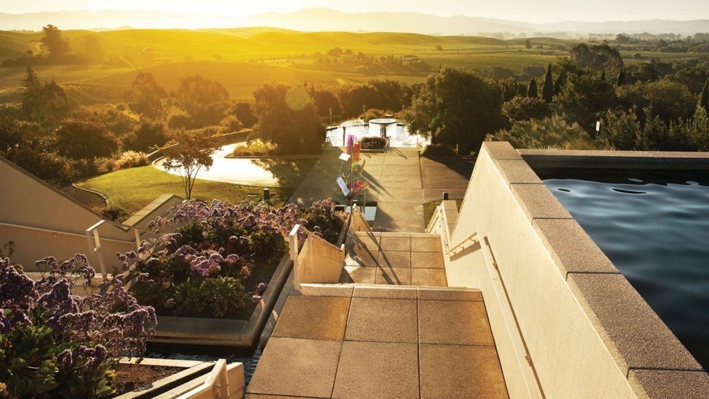 Artesa Vineyards Terrace