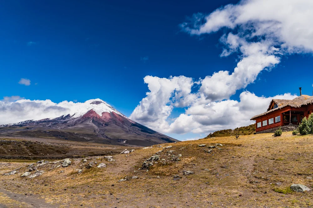 Tambopaxi Lodge Area