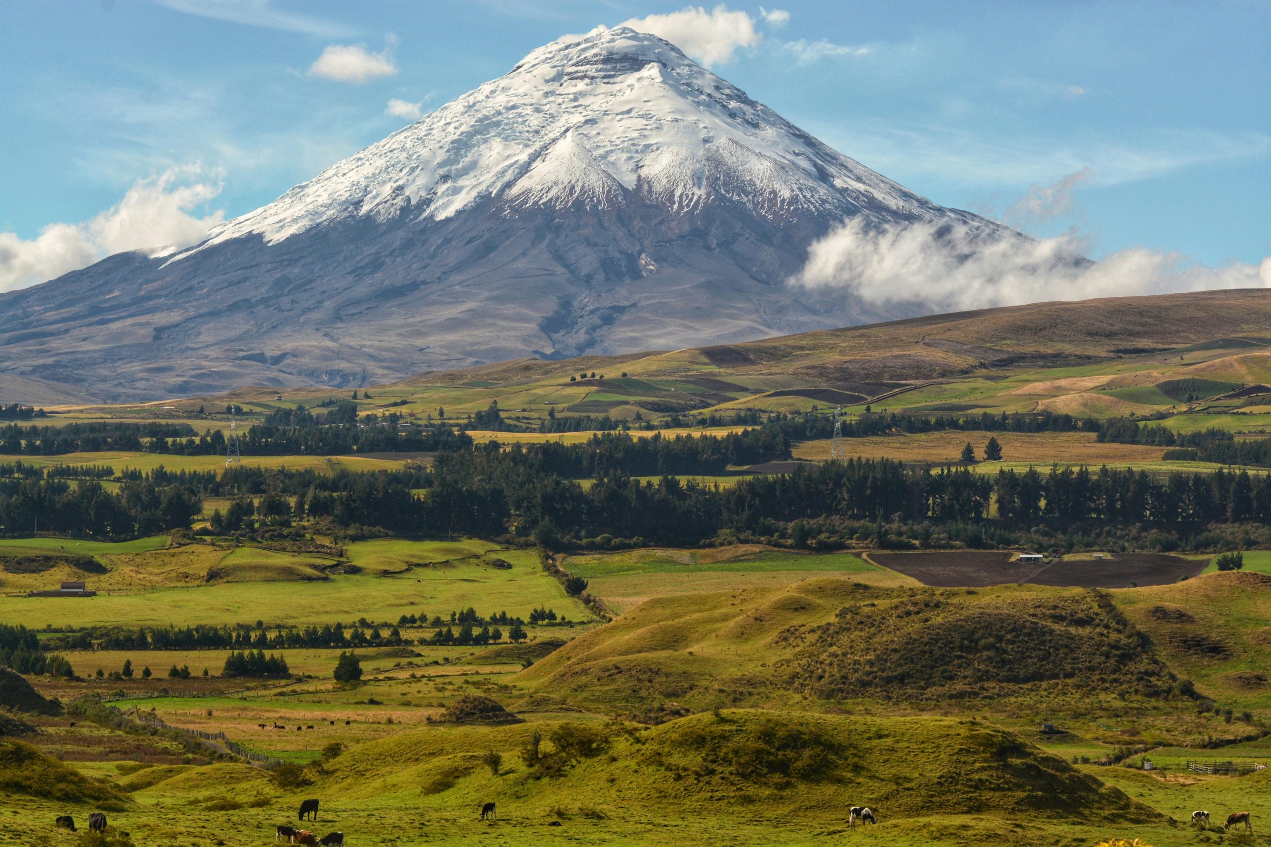 Volcán Cotopaxi Summit Cone