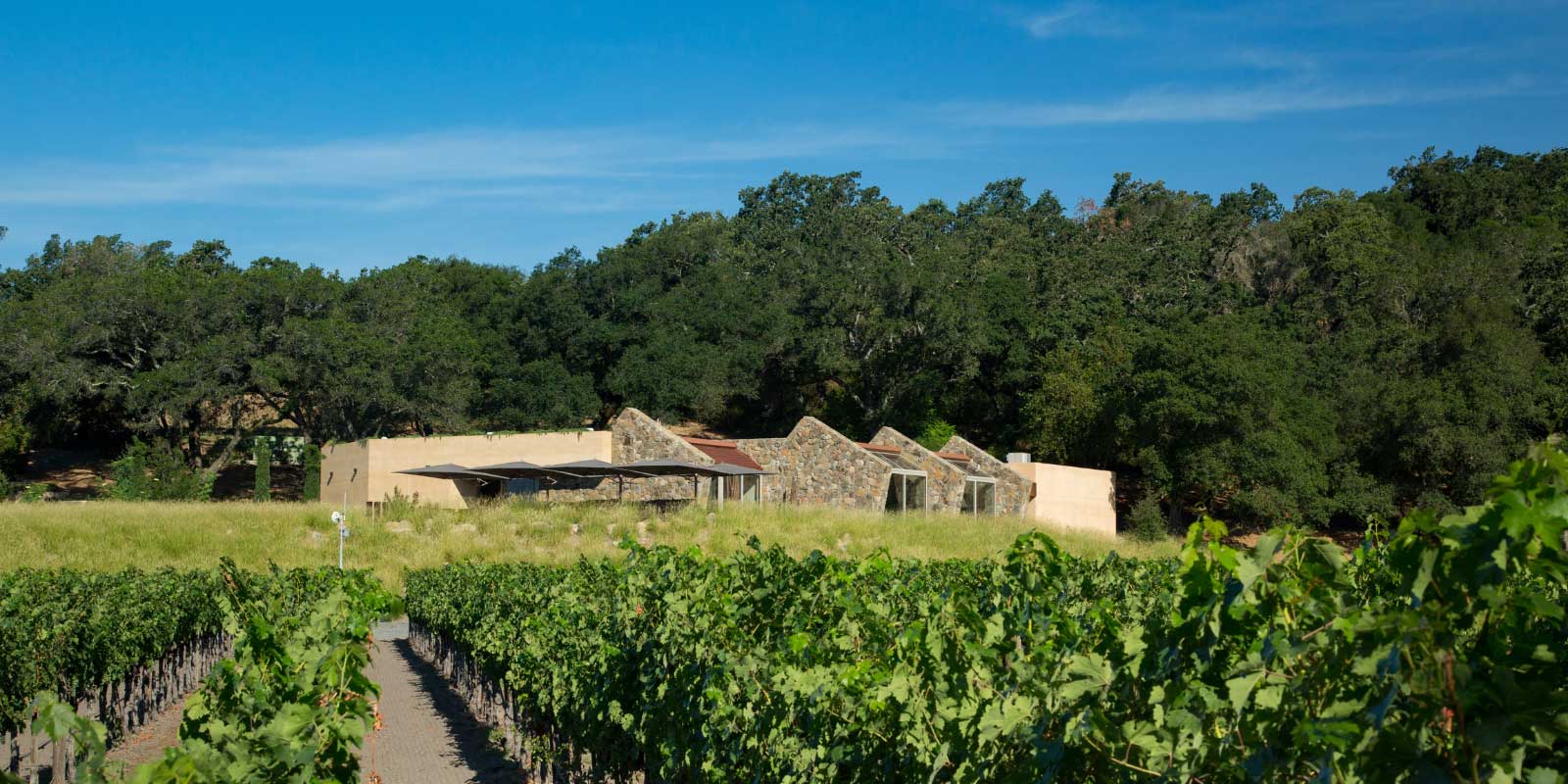 Stag's Leap Wine Cellars