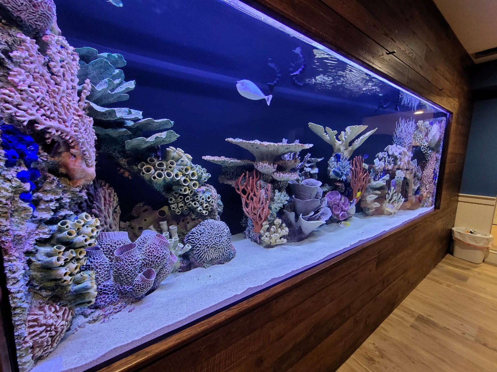 SEA LIFE London