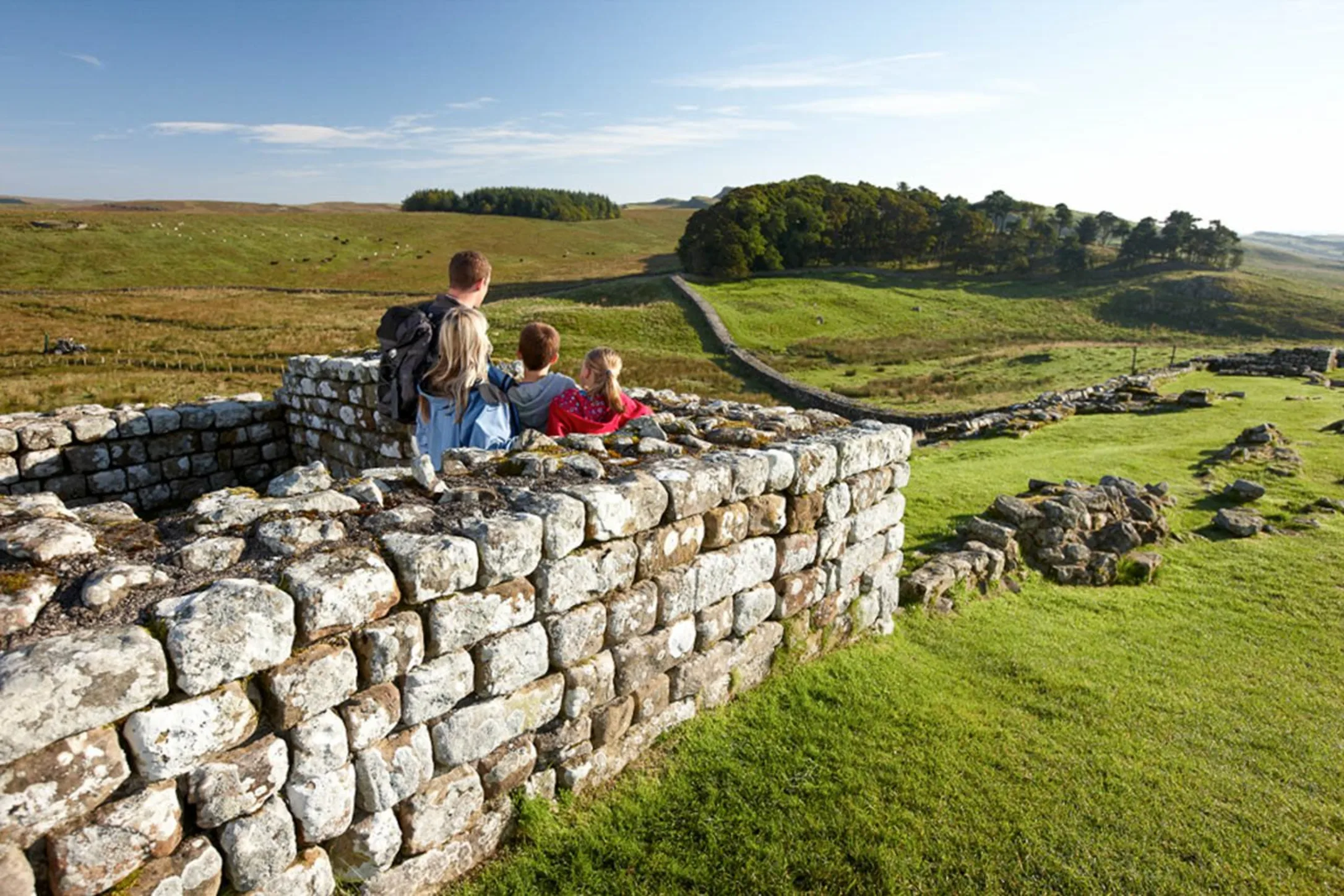 Your experience at Hadrian's Wall Tours & Tickets
