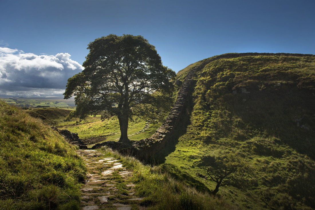 Sycamore Gap