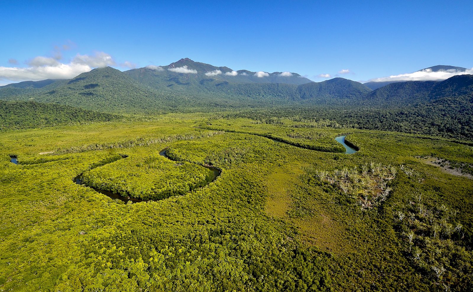 River Bend Panorama