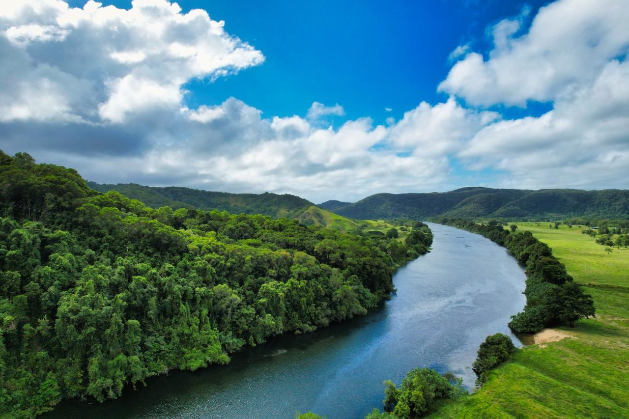 Saltwater Crocodile Habitats