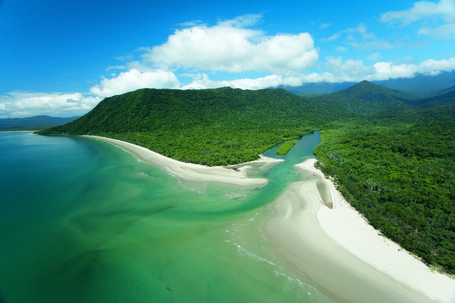 Mangrove Ecosystems