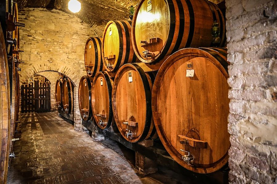 Chianti Wine Tour From Florence Small Group
