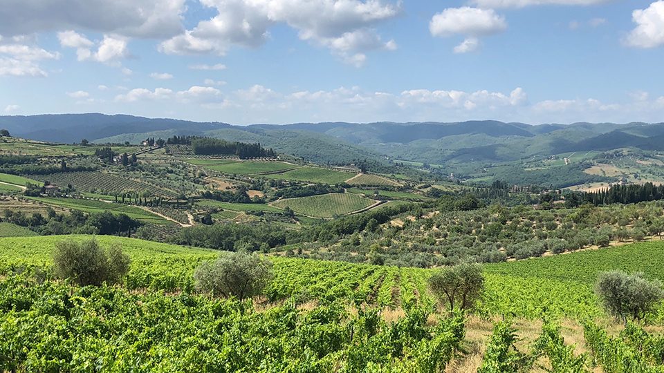 Panzano Hillside Lookout