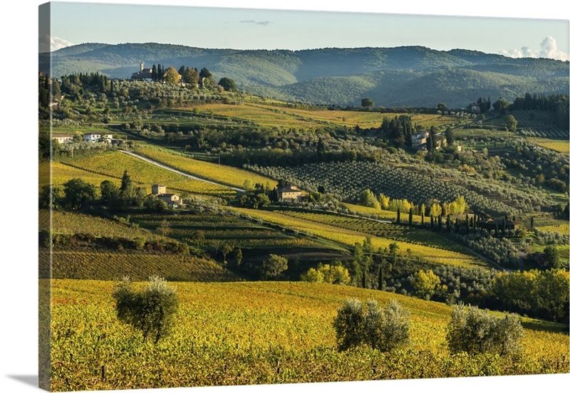 Panzano Valley Vista