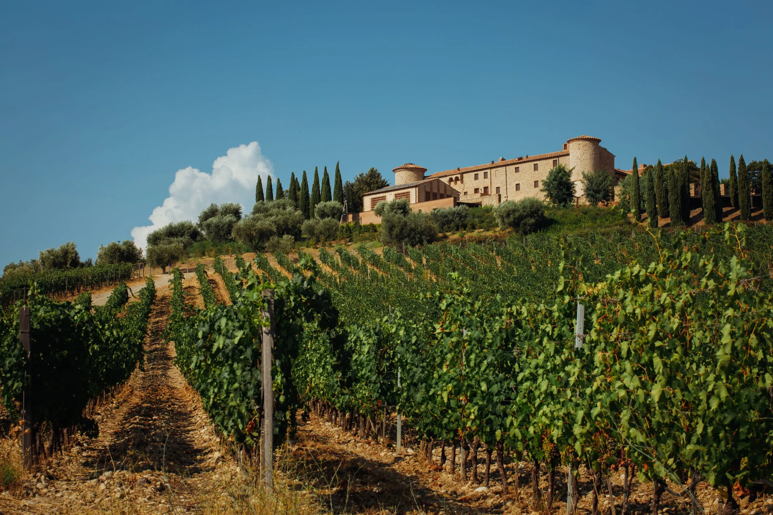 Private Chianti Wine Tour From Florence