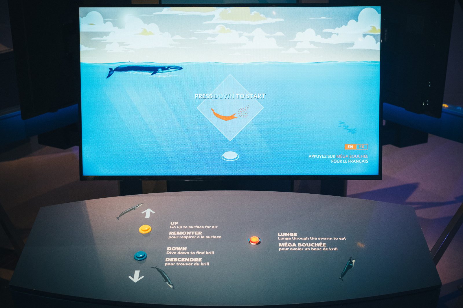 Interactive Conservation Area