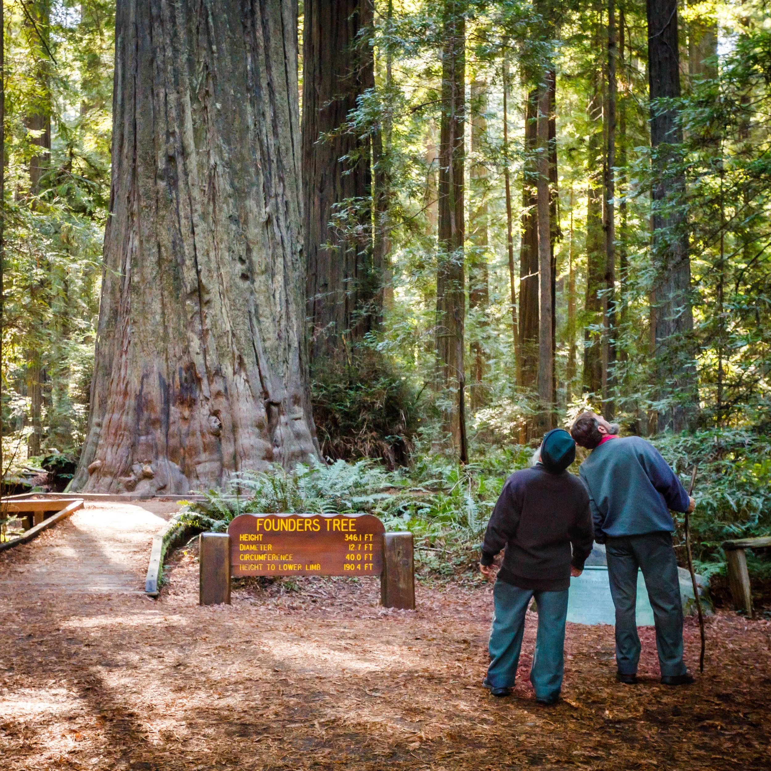 Founders Grove