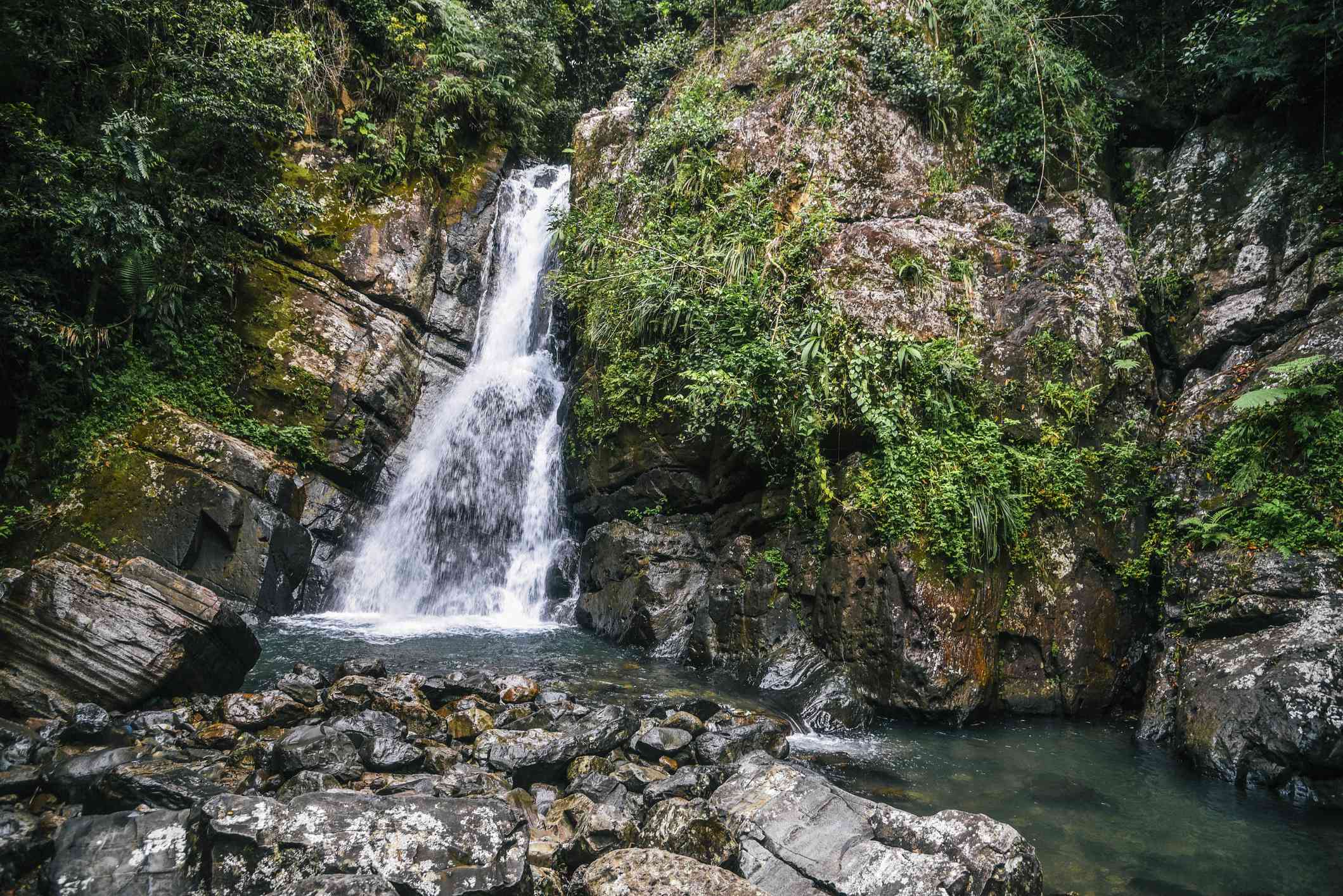 Your experience at El Yunque Waterfall Tours & Tickets