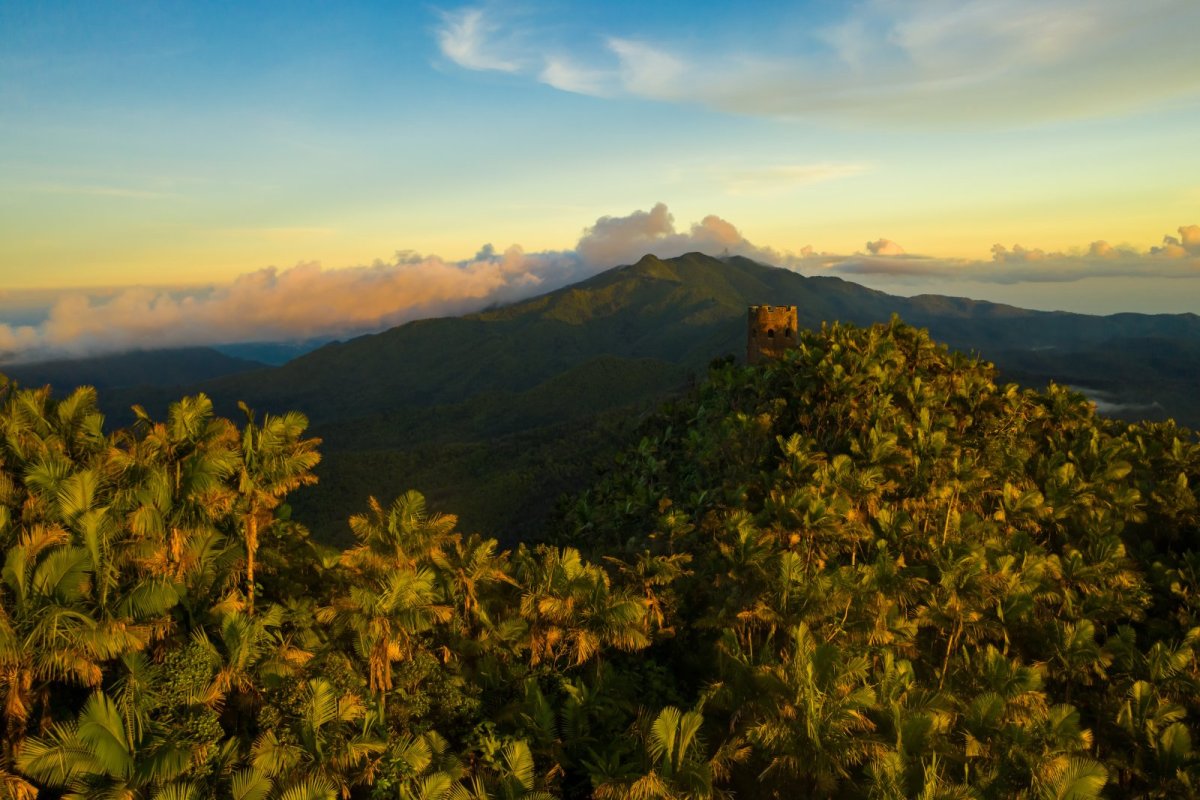 Mt. Britton Tower Hike