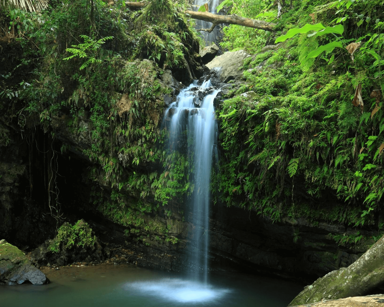 Exploring the El Yunque Waterfall