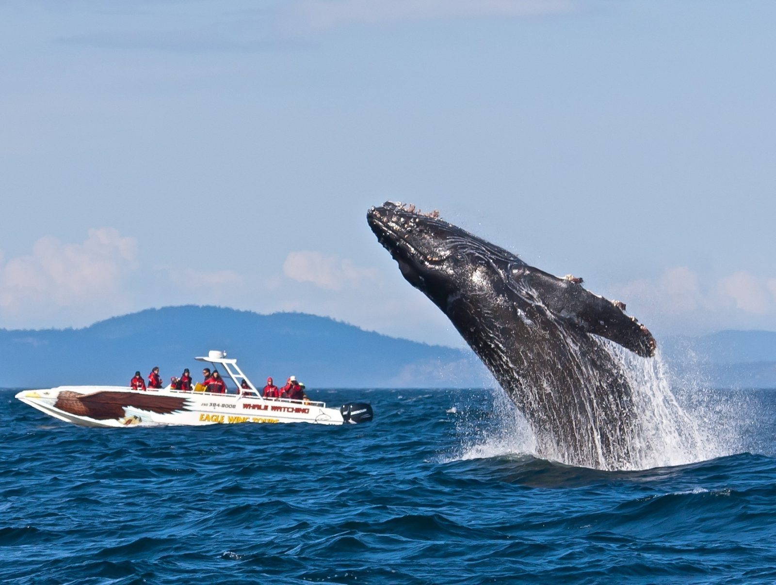 Marine Observation