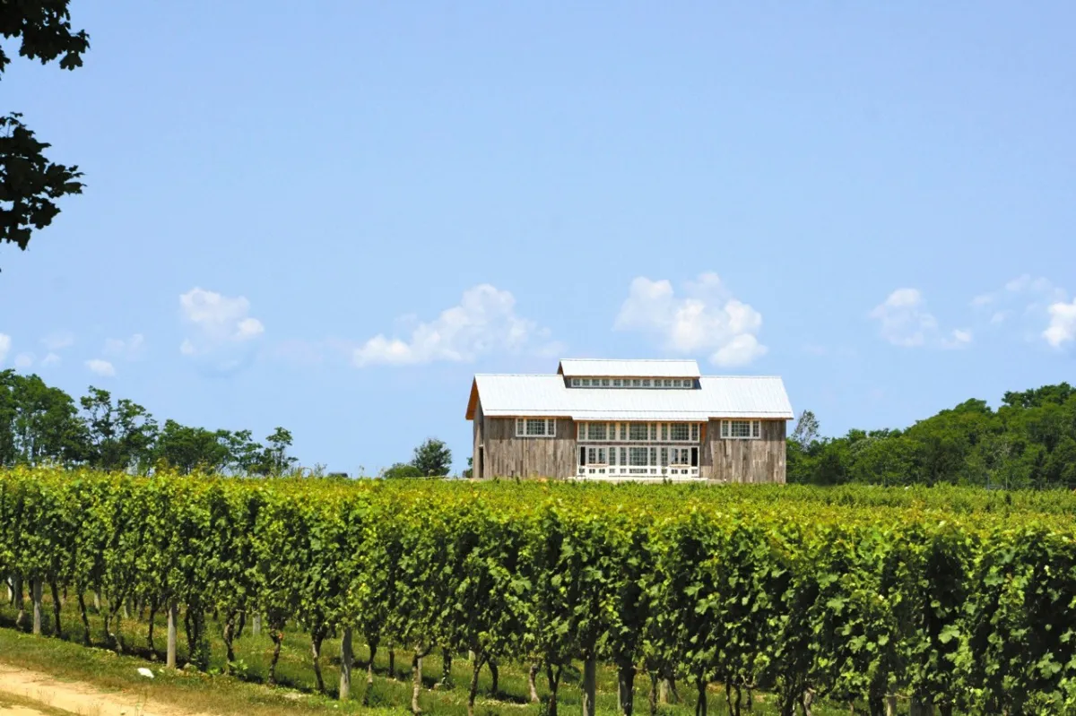 Kontokosta Winery