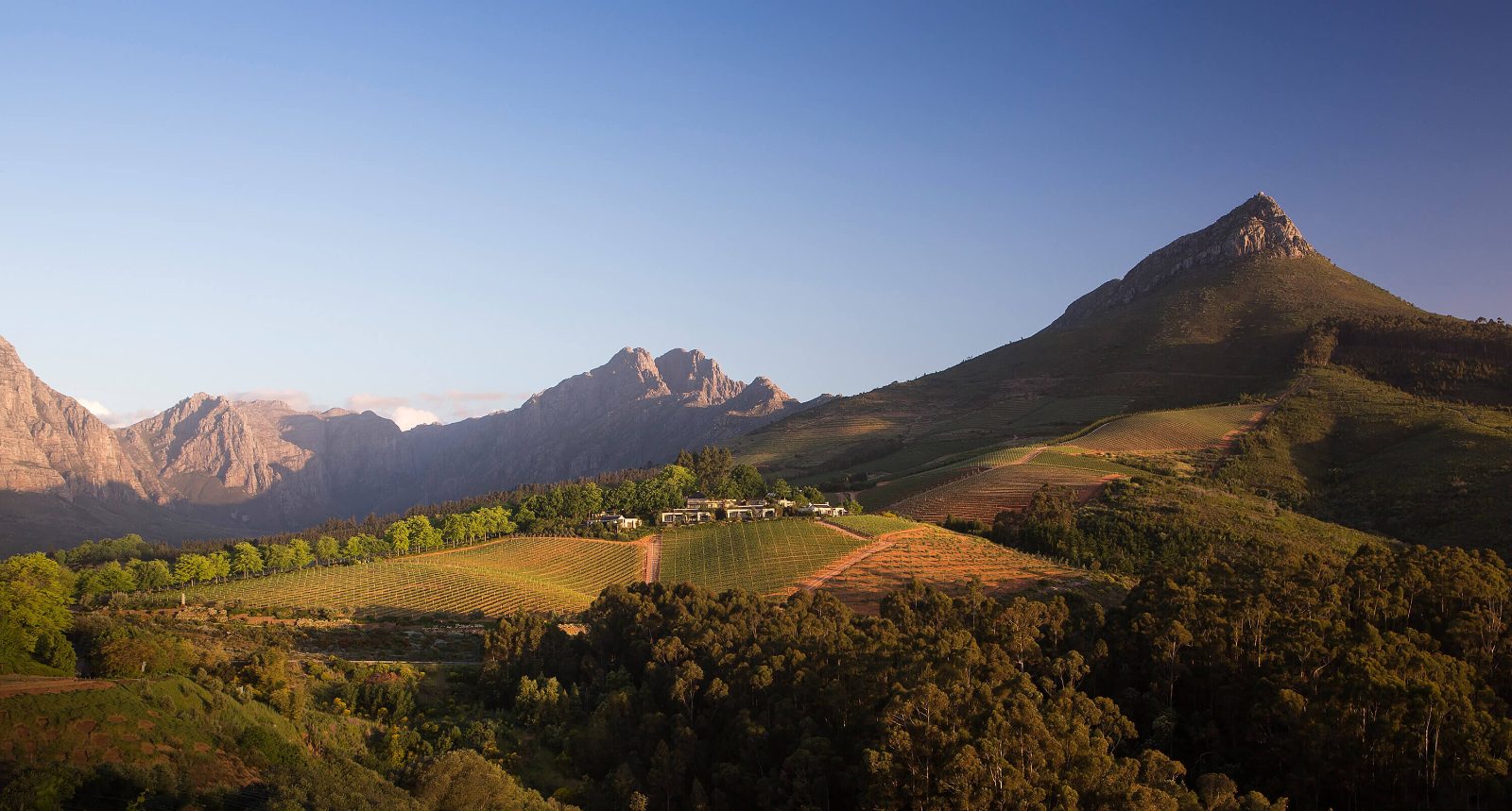 Delaire Graff Estate