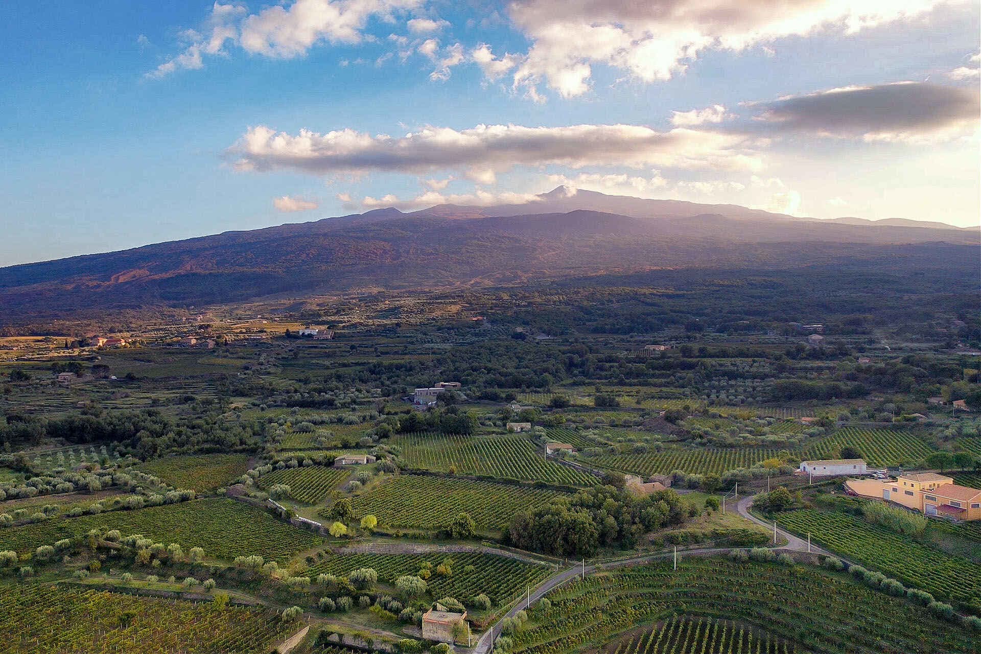 Etna Terraced Vineyards