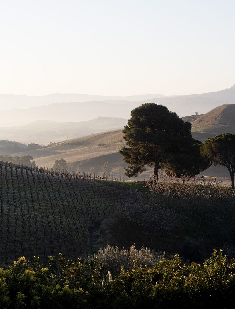 Tenuta Regaleali Estate