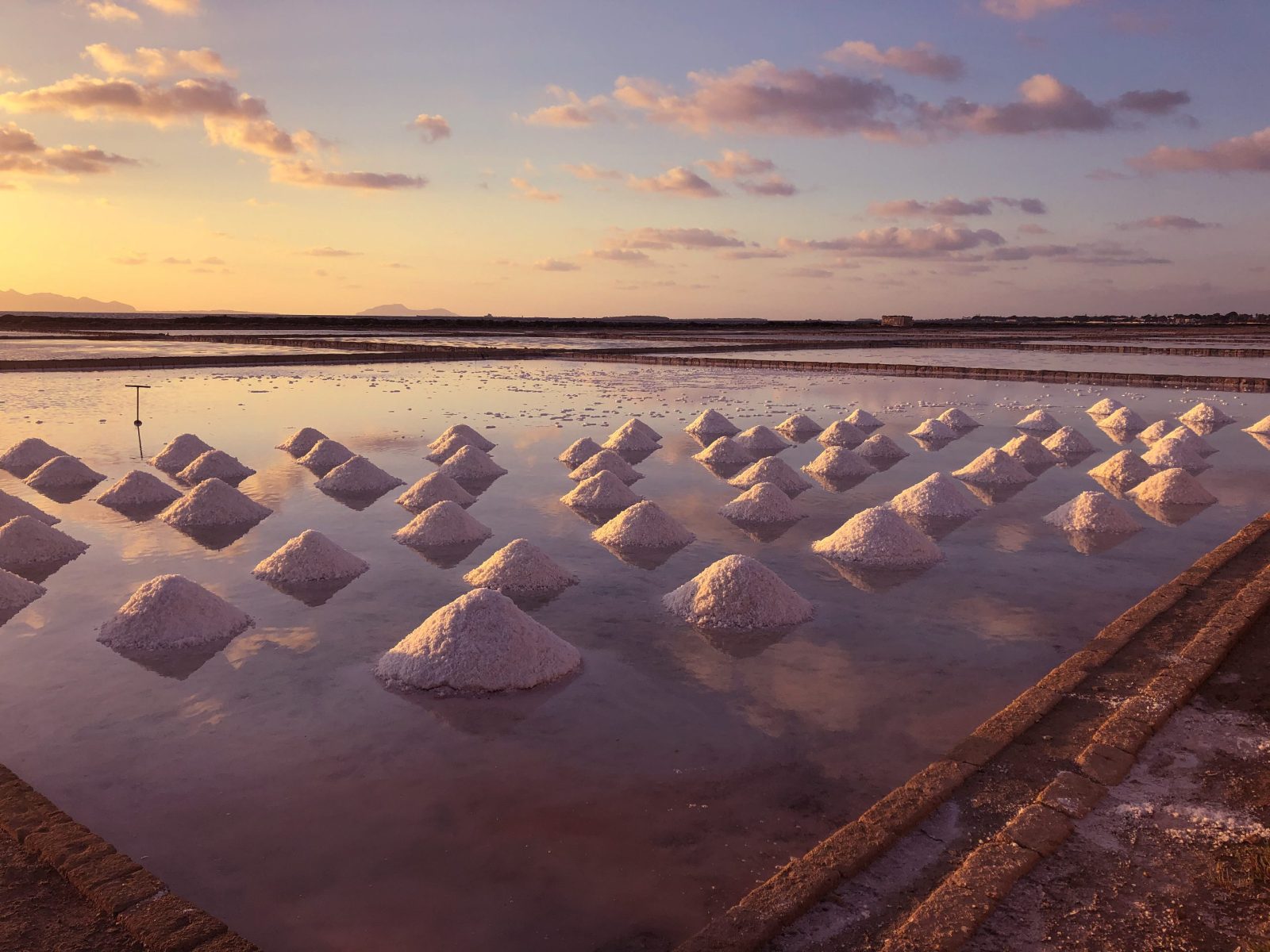 Marsala Salt Pan Vineyards