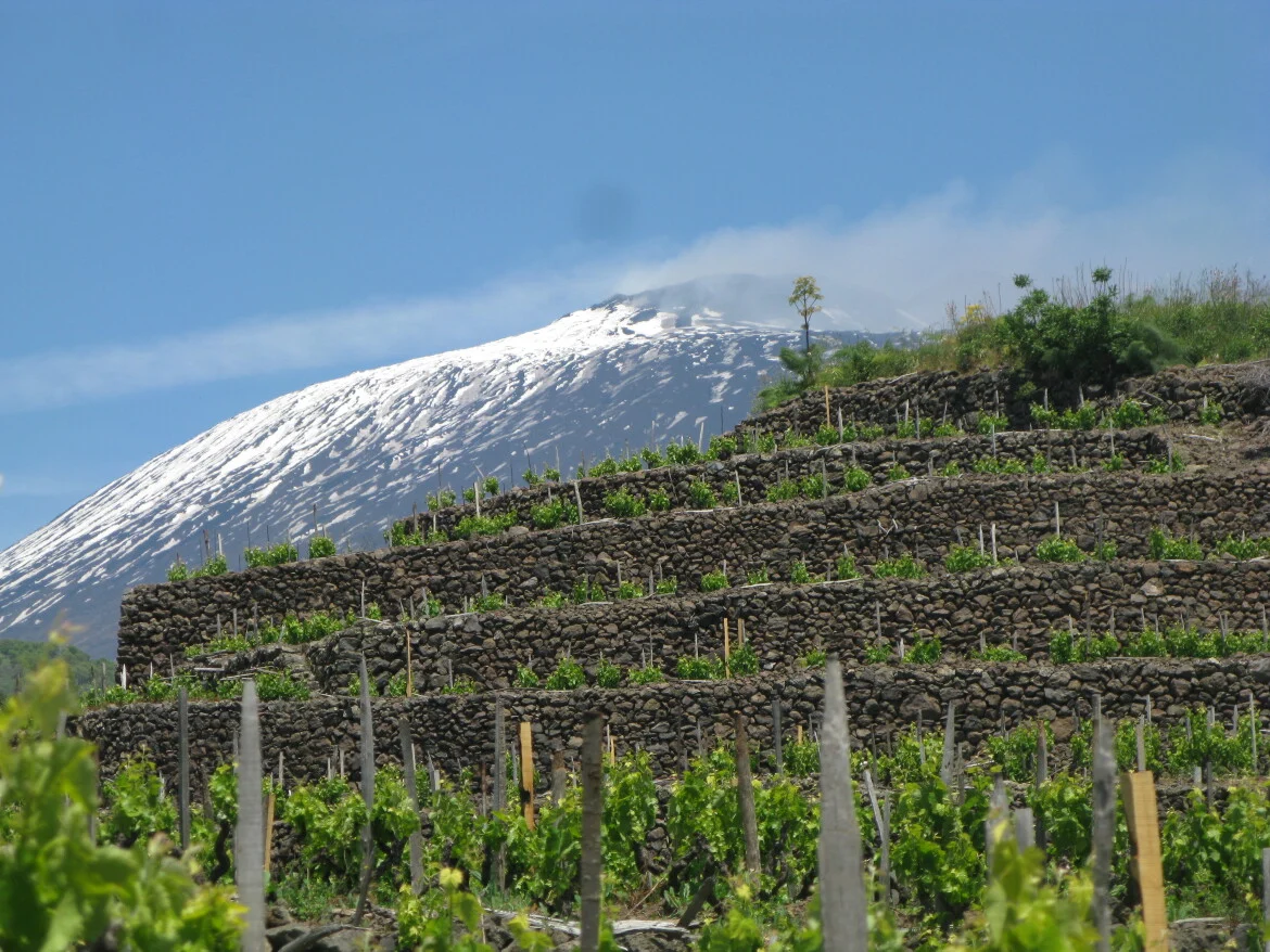 Etna Volcanic Soils