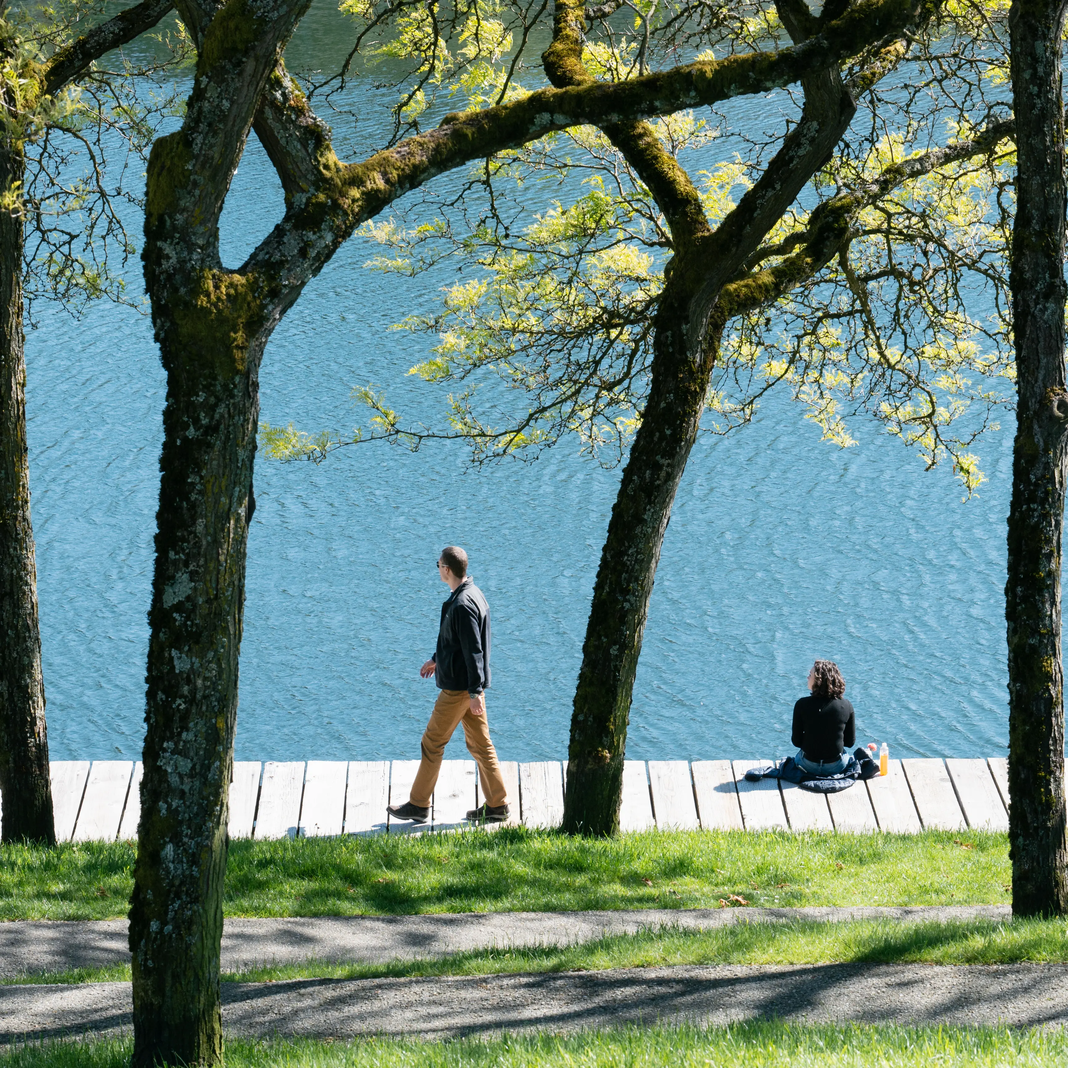 Ron Basford Park