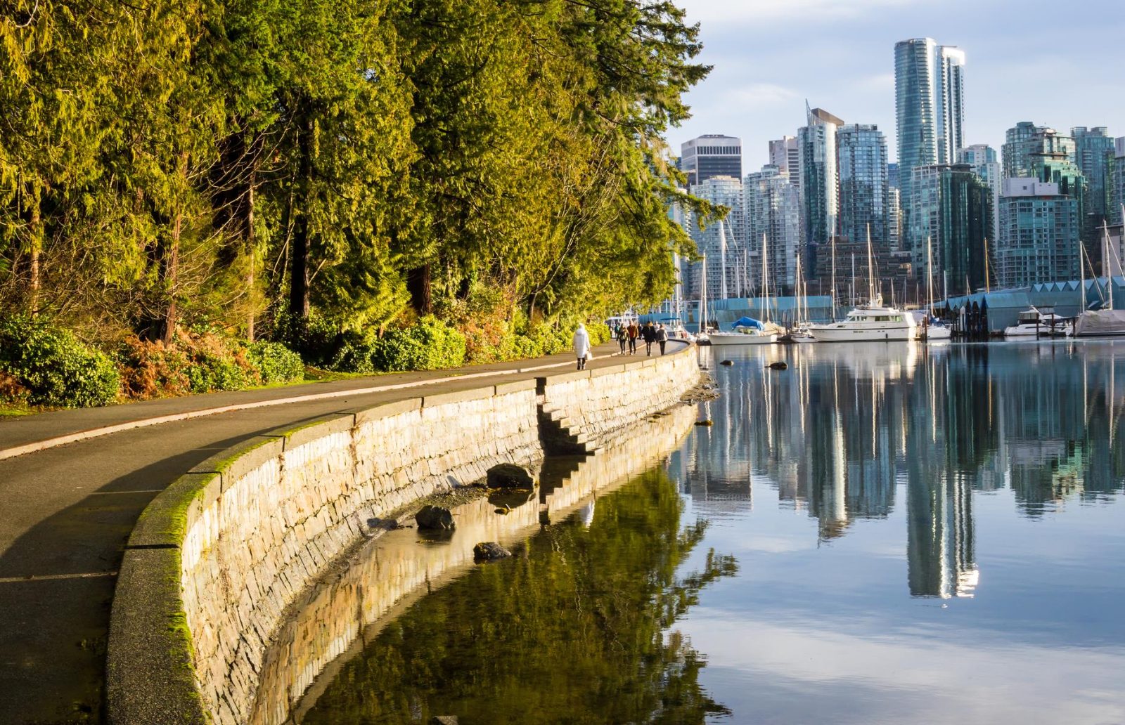 Seawall Viewpoints