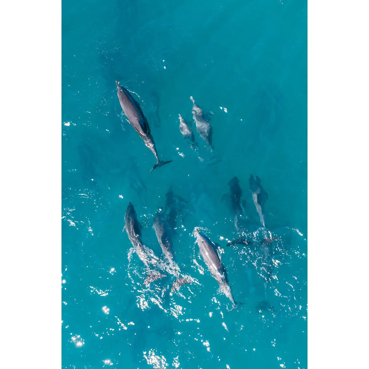 Marine Park waters