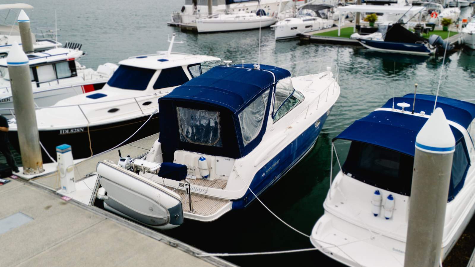 Bow Deck Viewing Area