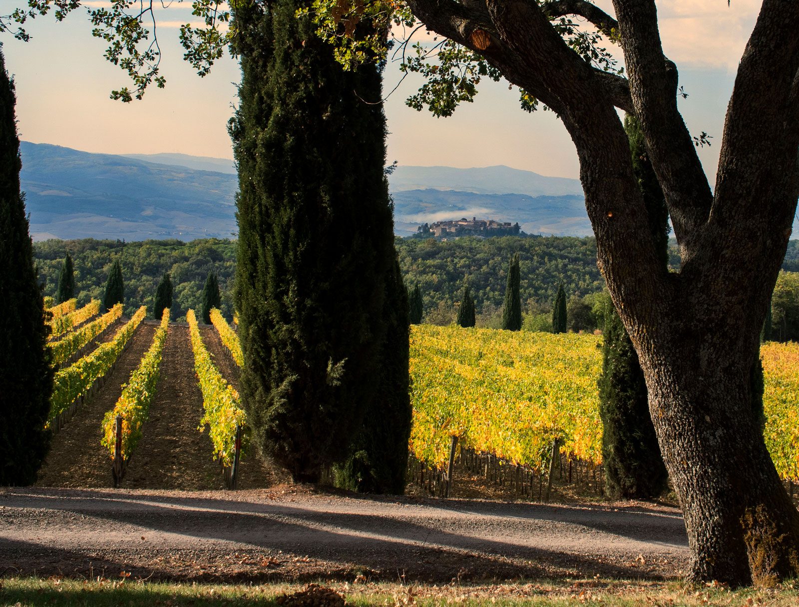Poggio Antico Hilltop View