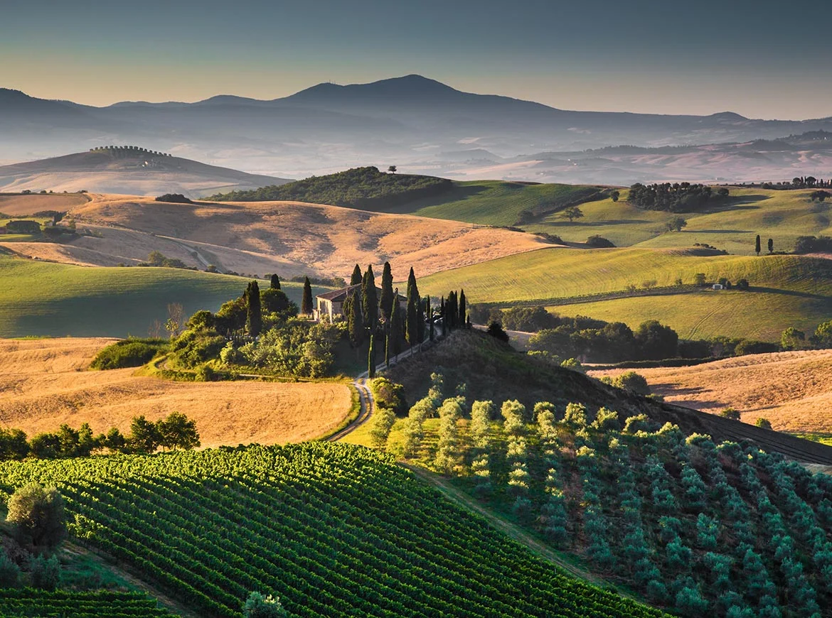 Tenuta Vineyard Estates
