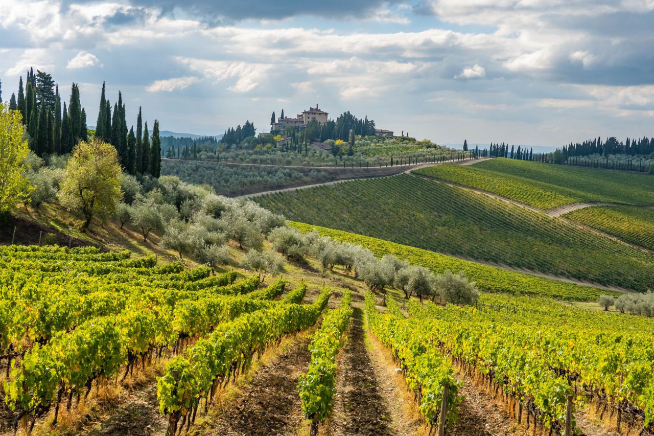 Chianti Vineyard Terrace