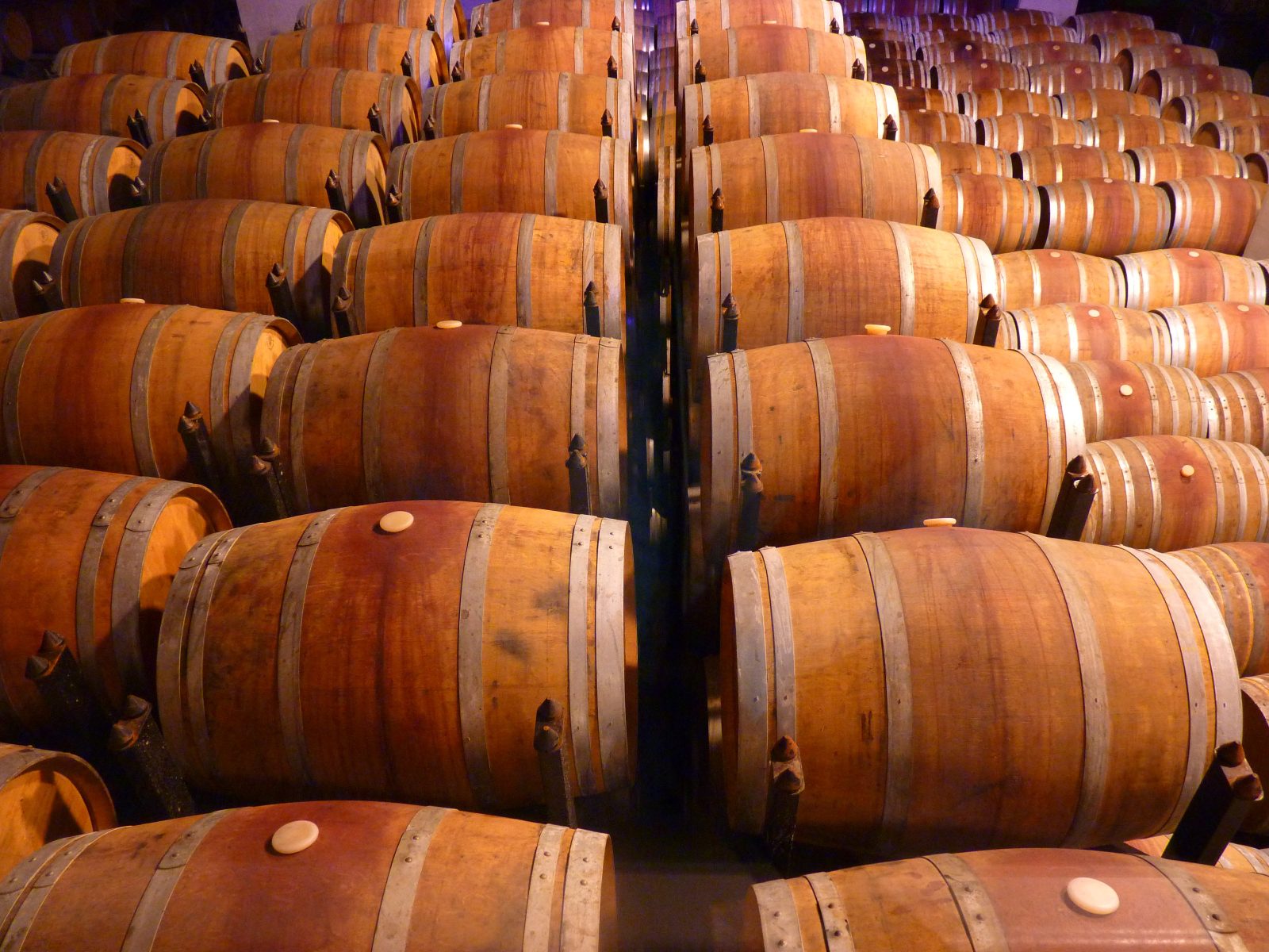 Cellar Tour