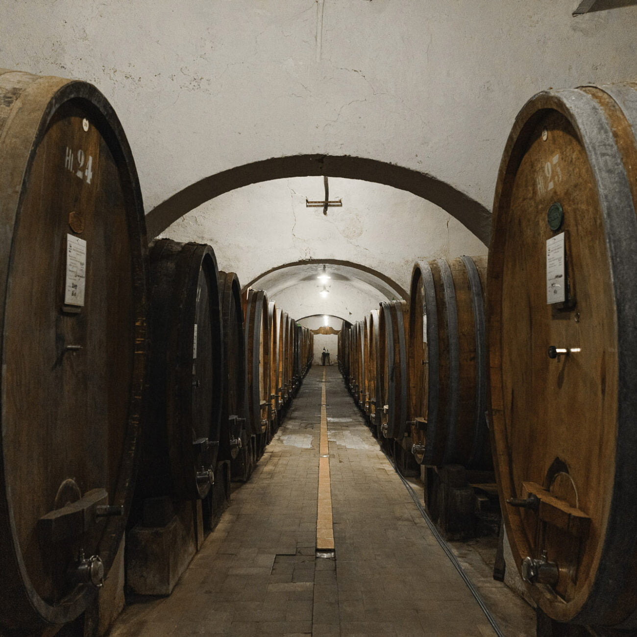 Tenuta di Capezzana Cellar