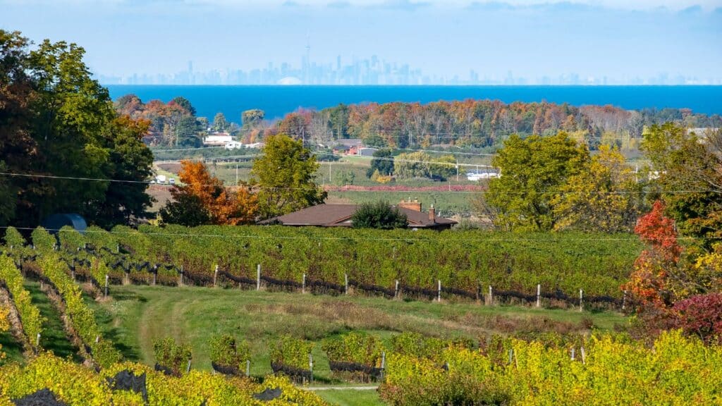 Niagara Escarpment Lookout