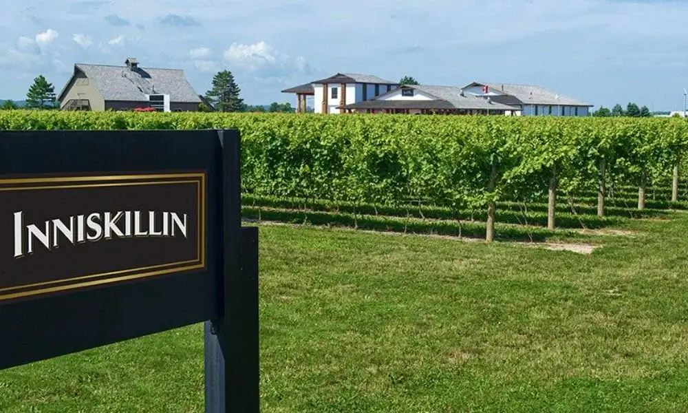 Inniskillin Niagara Estate Entrance