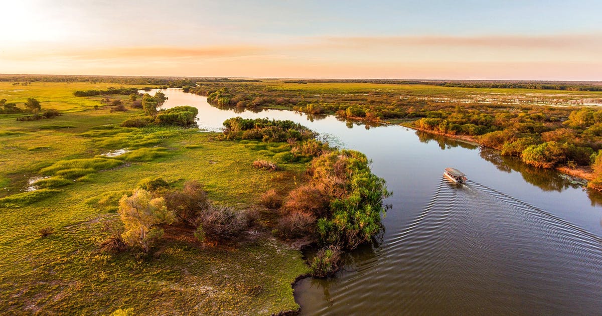 Floodplain Lookout
