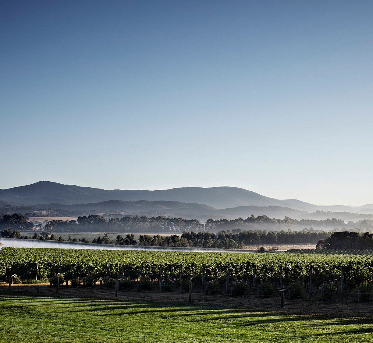 Domaine Chandon