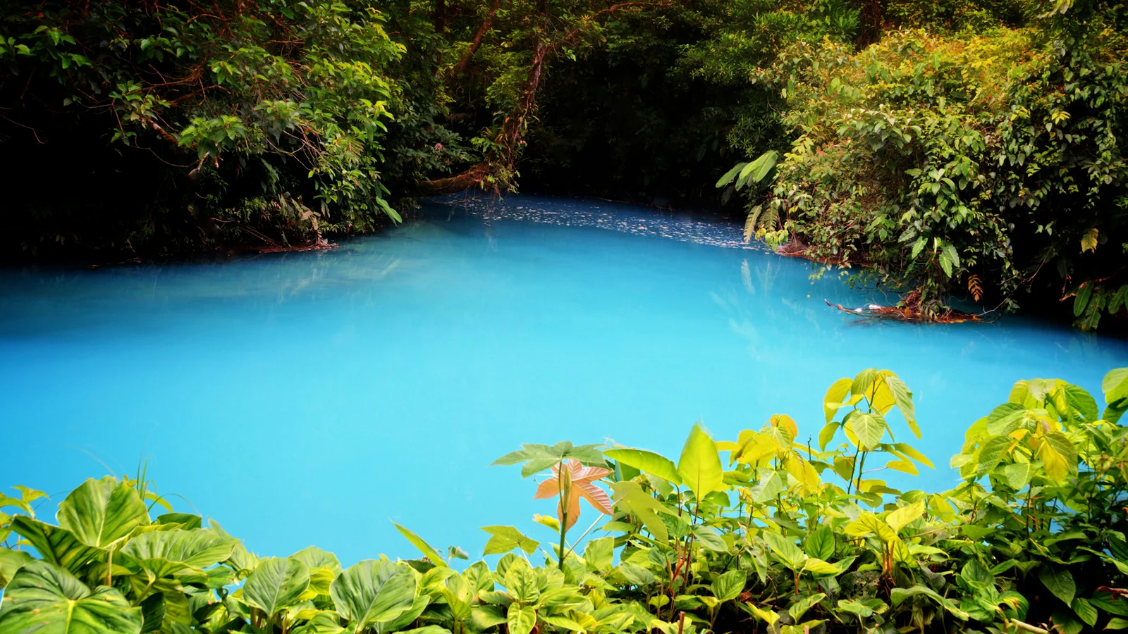 Laguna Azul & Los Borbollones