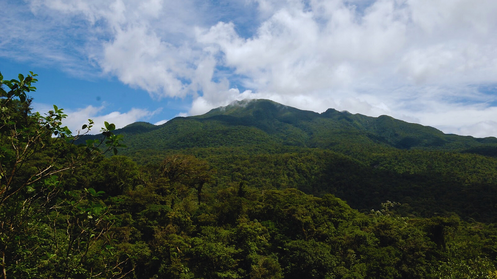 Mirador Viewpoint