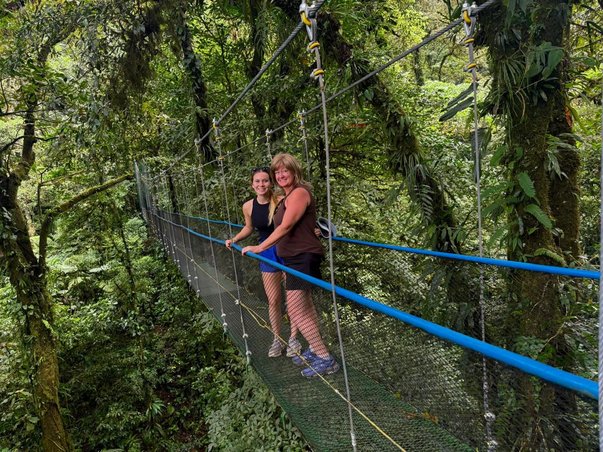 Heliconias Hanging Bridges
