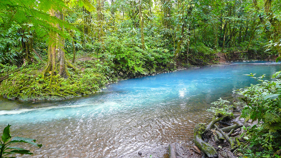 El Teñidero (Colour-Change Confluence)