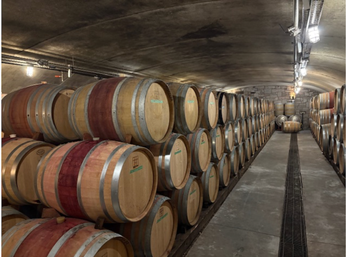 Provence Wine Tour