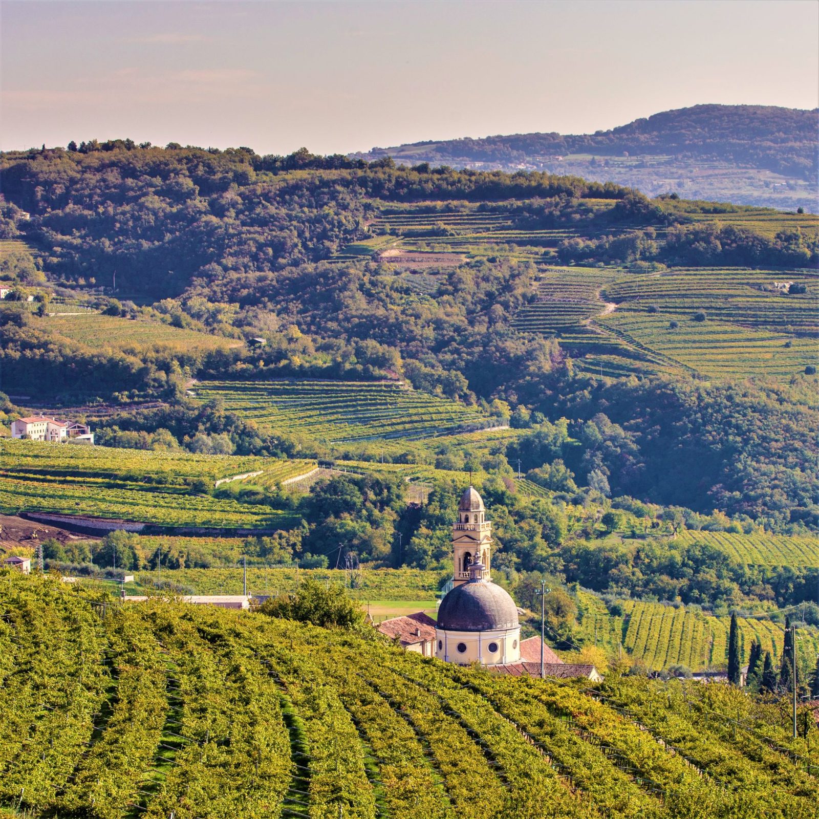 Marano di Valpolicella Ridgeline