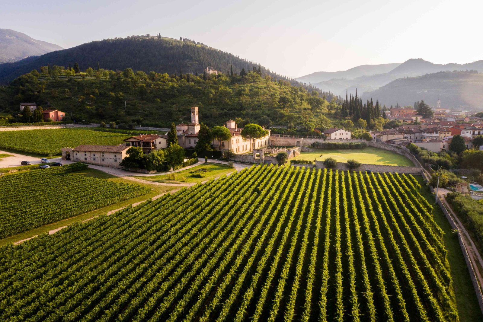 Villa della Torre Vineyards
