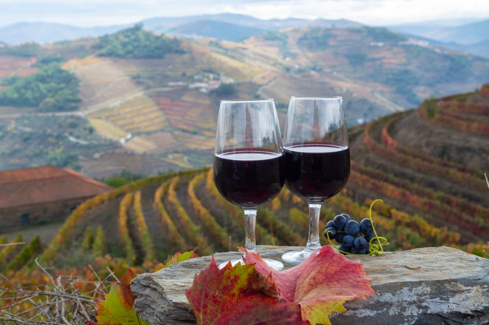 Port Porto Wine Tour