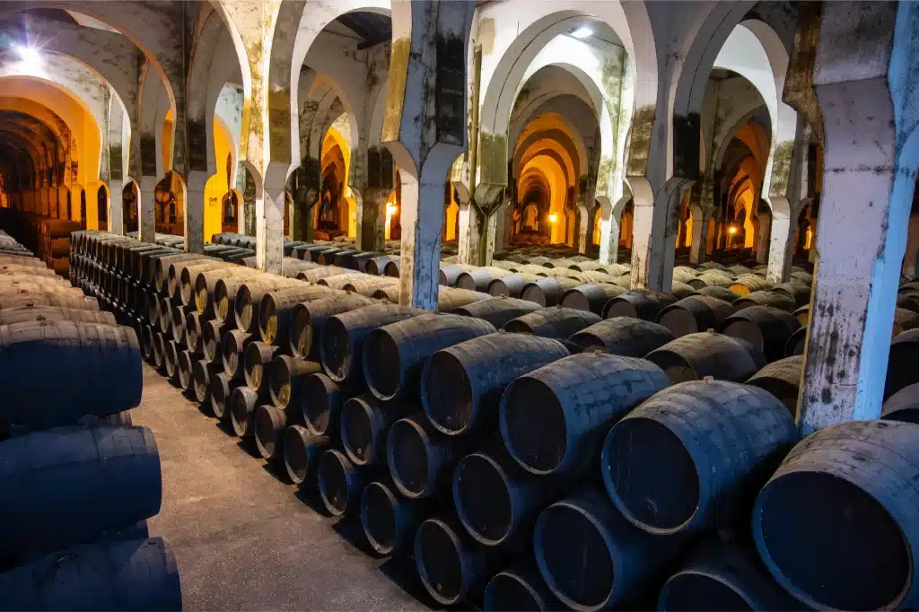 Ronda Wine Tour