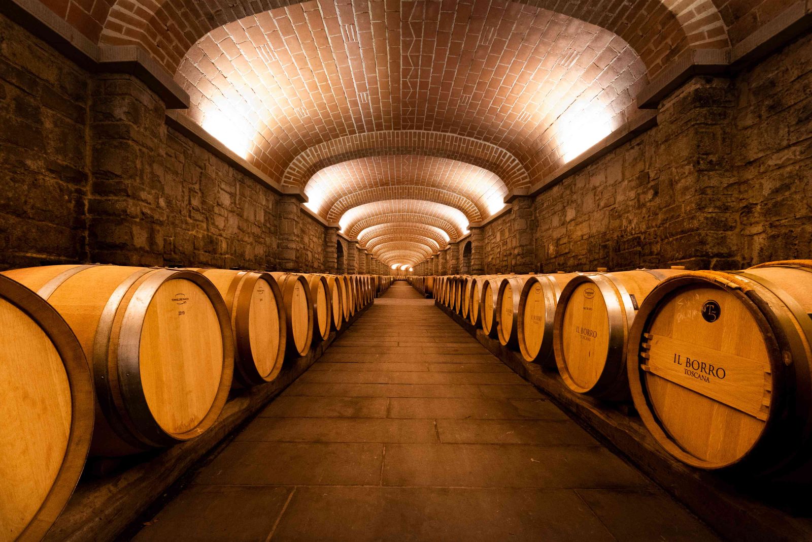 Cellar Barrel Vault